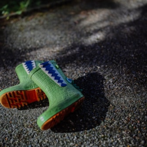 Cryptid-Themed Wall Art